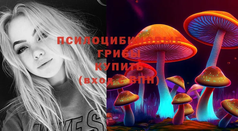 Галлюциногенные грибы Psilocybe  Ялуторовск 